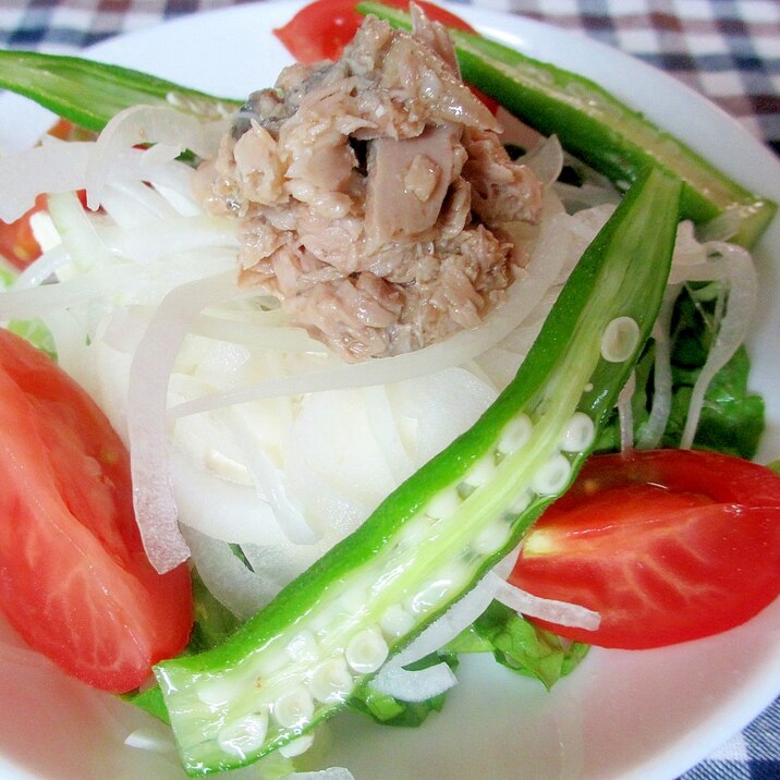 ツナと豆腐とオニオンスライスサラダ